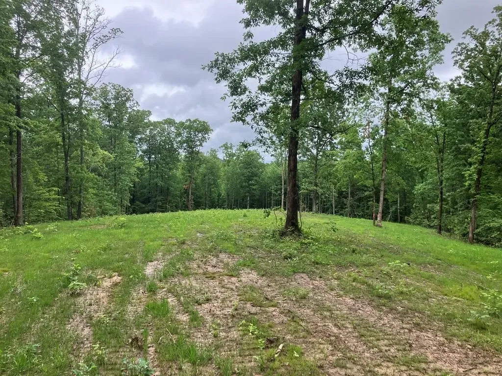 213 Wynn Ferry Road Big Sandy TN 38221