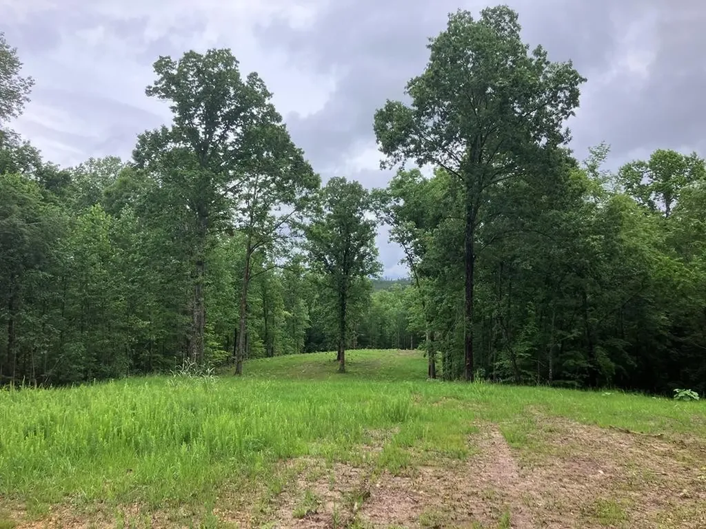 213 Wynn Ferry Road Big Sandy TN 38221
