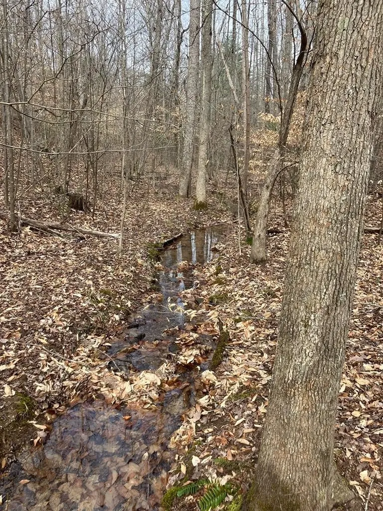 213 Wynn Ferry Road Big Sandy TN 38221