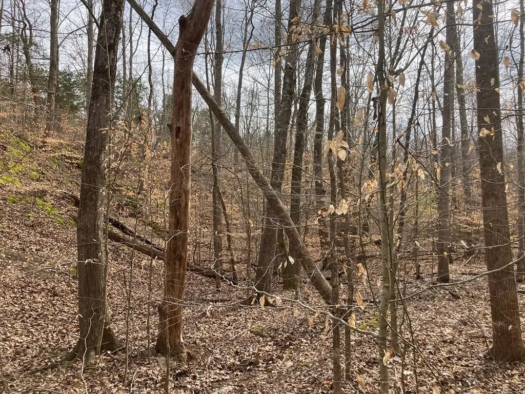213 Wynn Ferry Road Big Sandy TN 38221