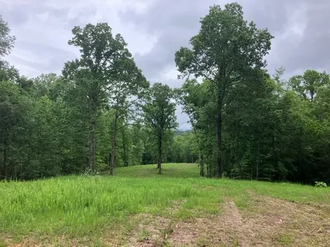 213 Wynn Ferry Road Big Sandy TN 38221