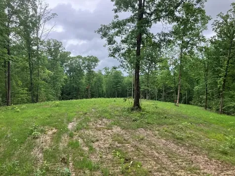 213 Wynn Ferry Road Big Sandy TN 38221