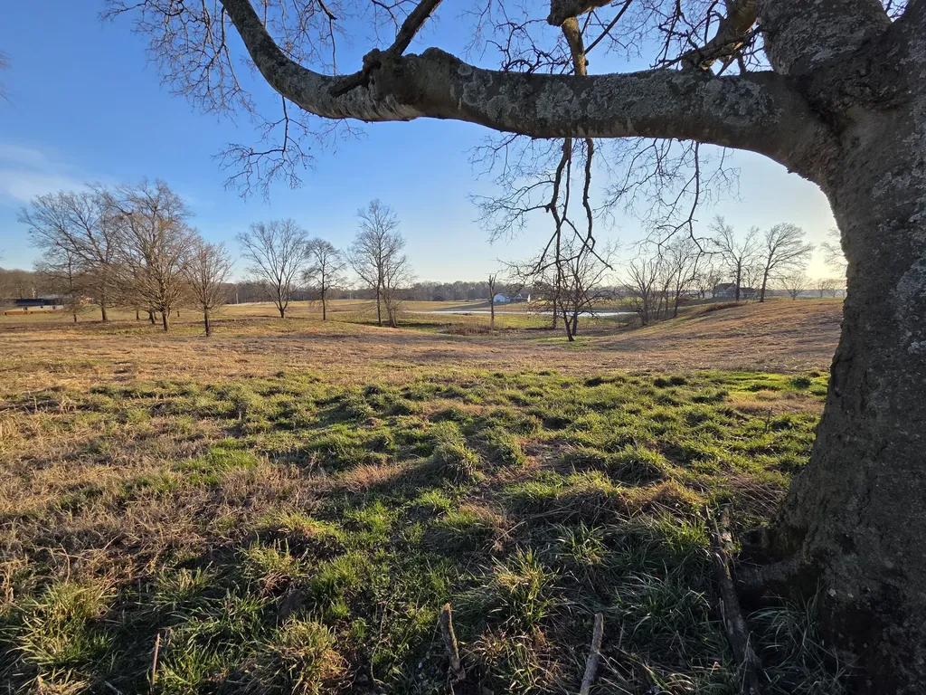 0 Homer Worsham Springfield TN 37172