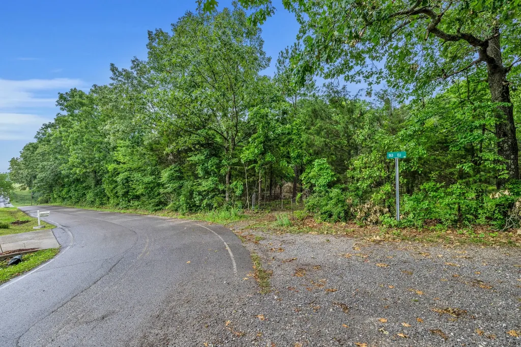 0 Eli Road Bon Aqua TN 37025