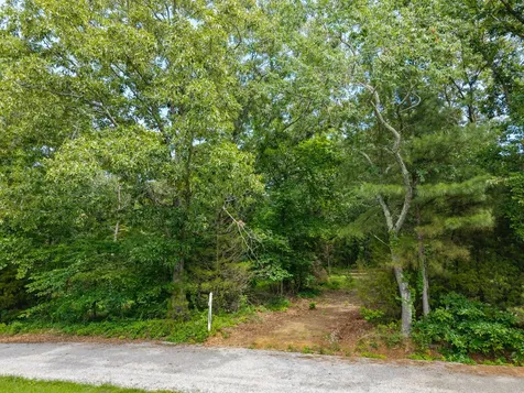 0 Eli Road Bon Aqua TN 37025