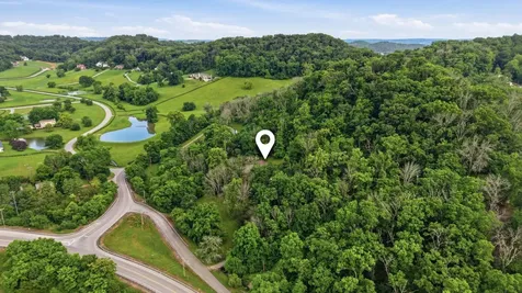 2145 S Berrys Chapel Court Franklin TN 37069