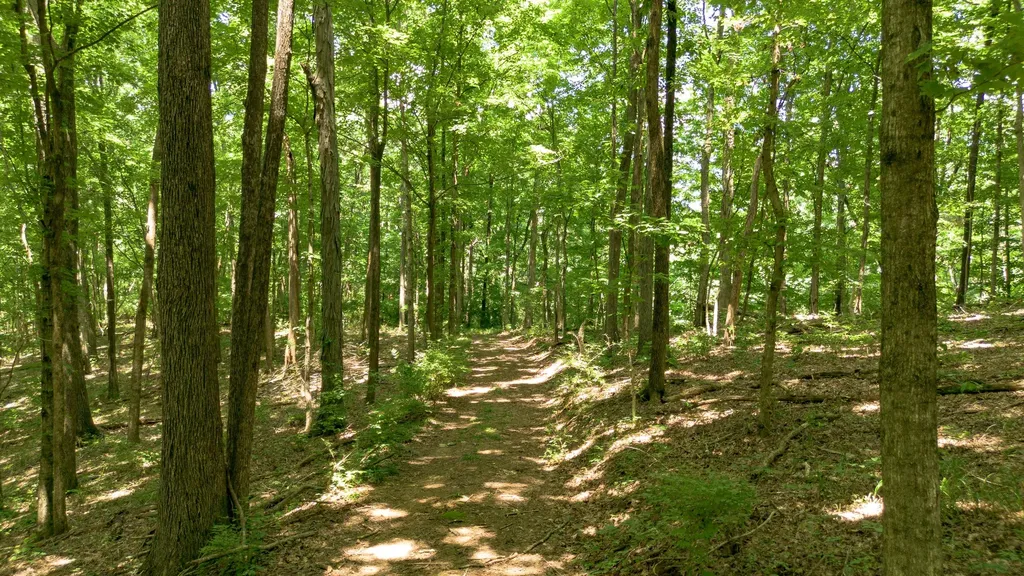 8218 Old Pond Creek Road Nashville TN 37209