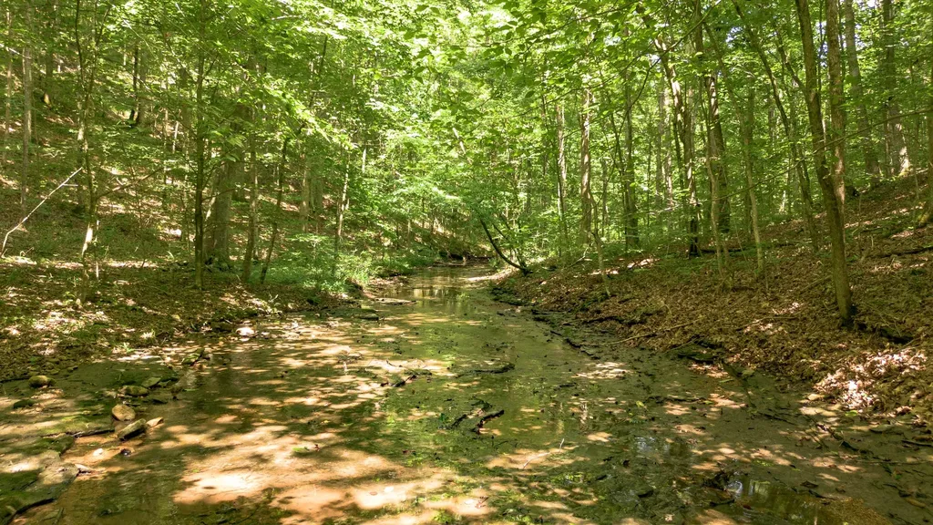 8218 Old Pond Creek Road Nashville TN 37209