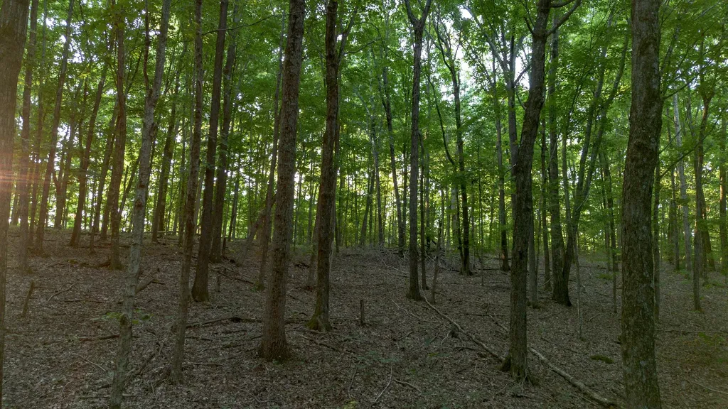 8218 Old Pond Creek Road Nashville TN 37209