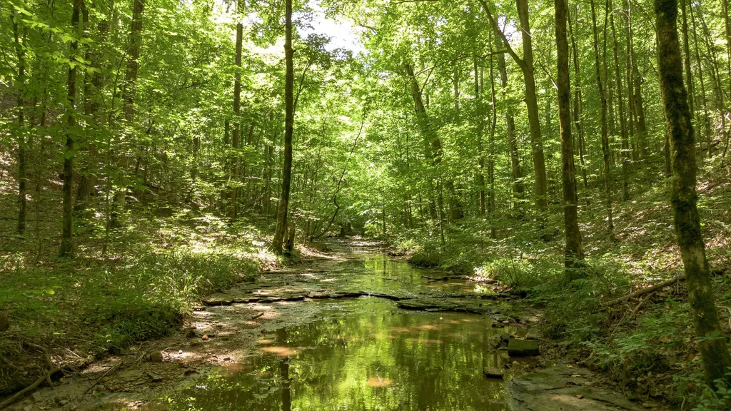 8218 Old Pond Creek Road Nashville TN 37209