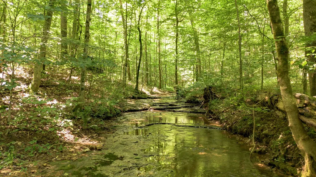 8218 Old Pond Creek Road Nashville TN 37209
