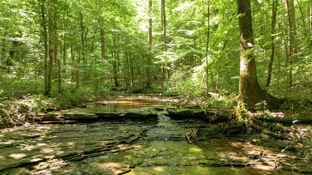 8218 Old Pond Creek Road Nashville TN 37209