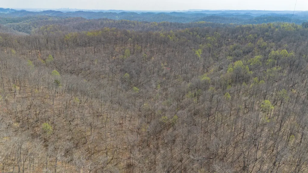 8218 Old Pond Creek Road Nashville TN 37209