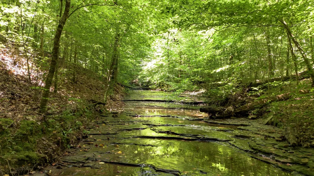 8218 Old Pond Creek Road Nashville TN 37209