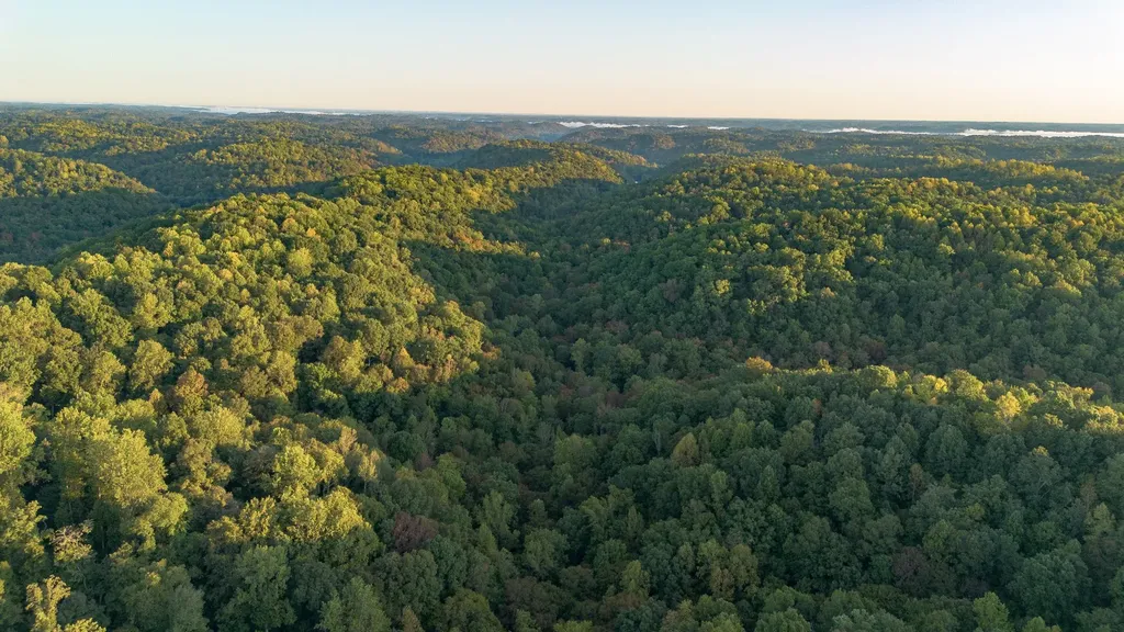 8218 Old Pond Creek Road Nashville TN 37209
