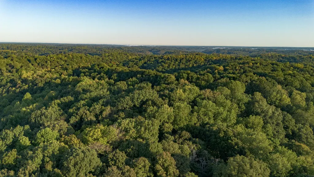 8218 Old Pond Creek Road Nashville TN 37209