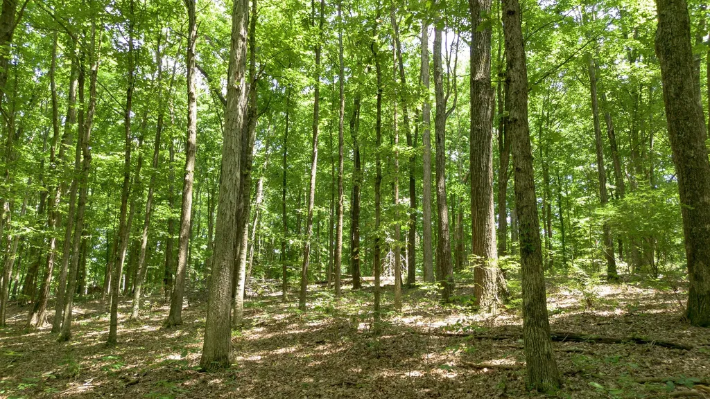8218 Old Pond Creek Road Nashville TN 37209