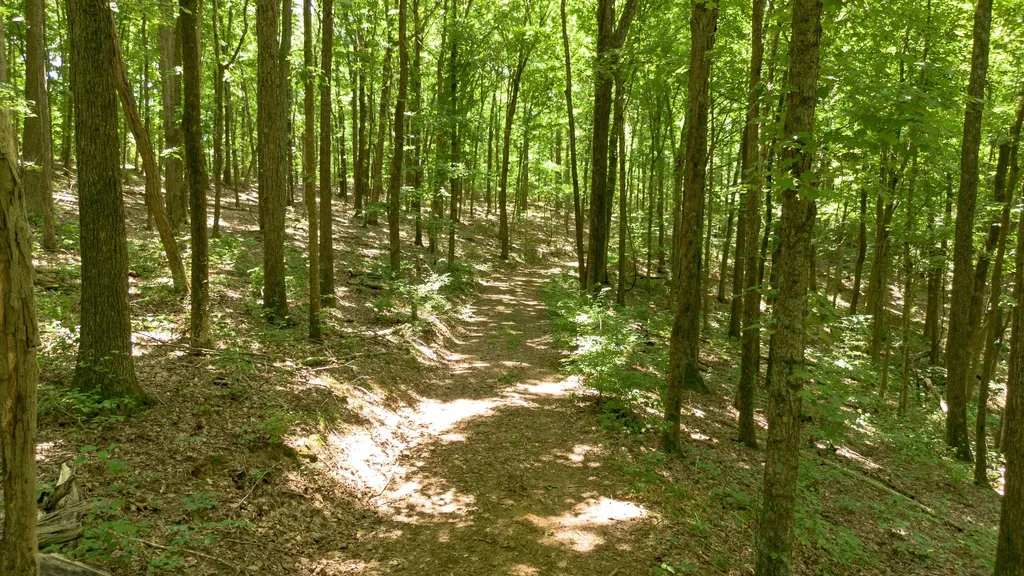 8218 Old Pond Creek Road Nashville TN 37209