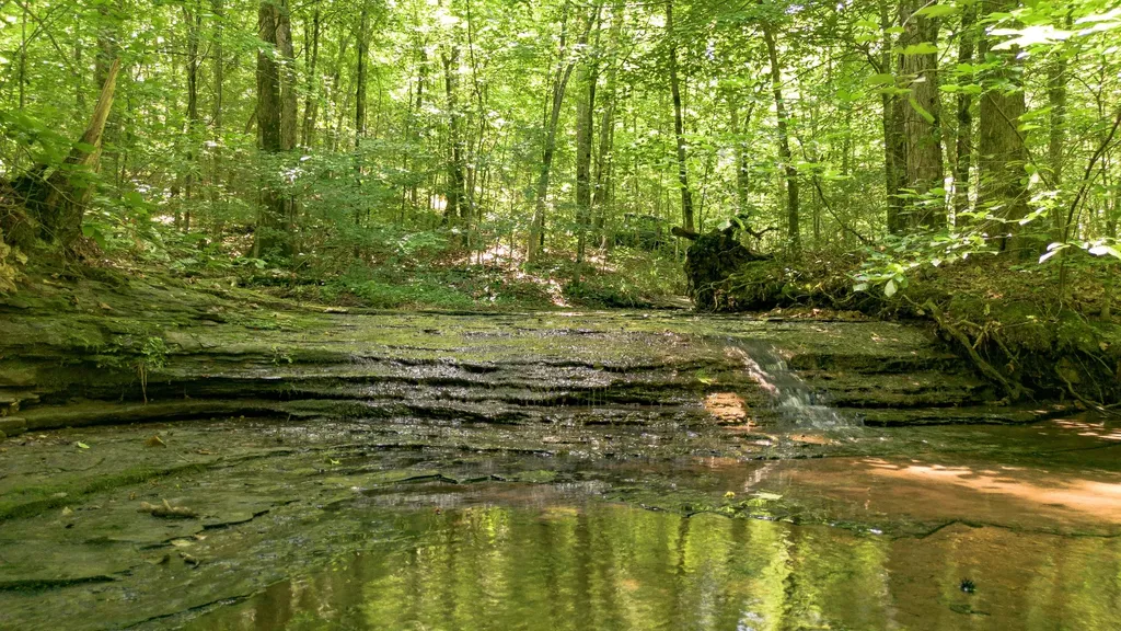 8218 Old Pond Creek Road Nashville TN 37209