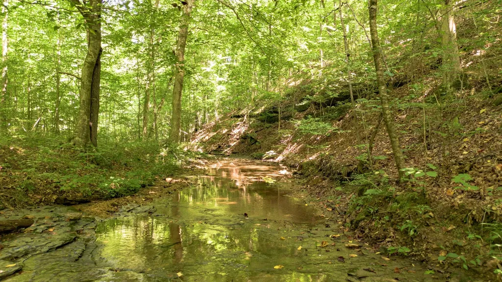 8218 Old Pond Creek Road Nashville TN 37209