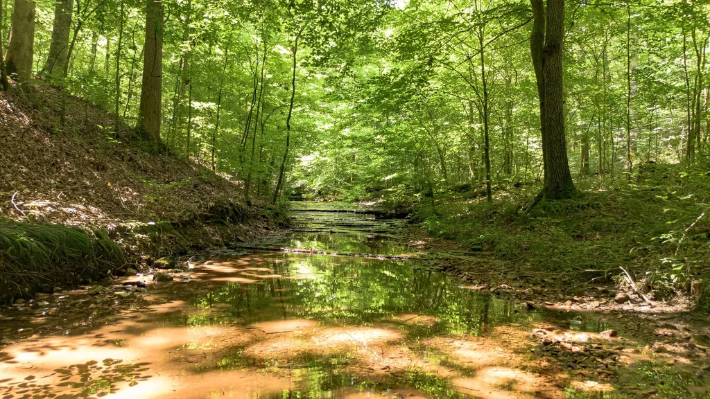 8218 Old Pond Creek Road Nashville TN 37209