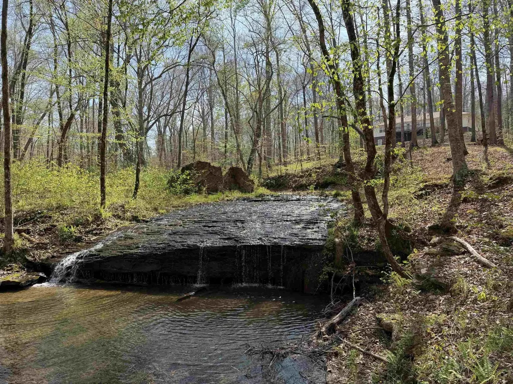 2411 Keazey Hollow Road Waynesboro TN 38485