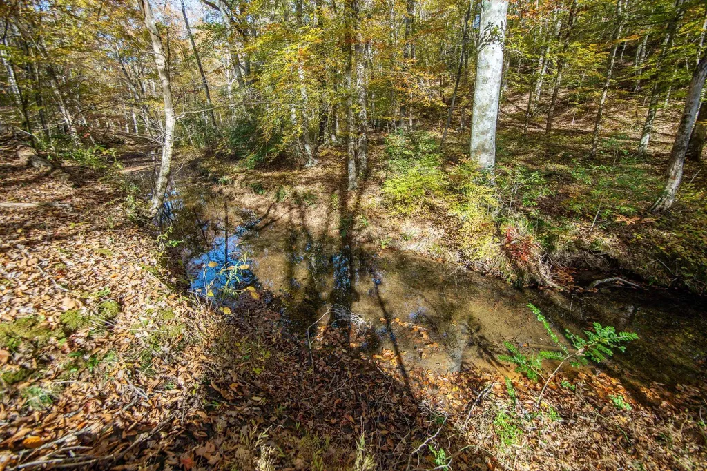 2411 Keazey Hollow Road Waynesboro TN 38485