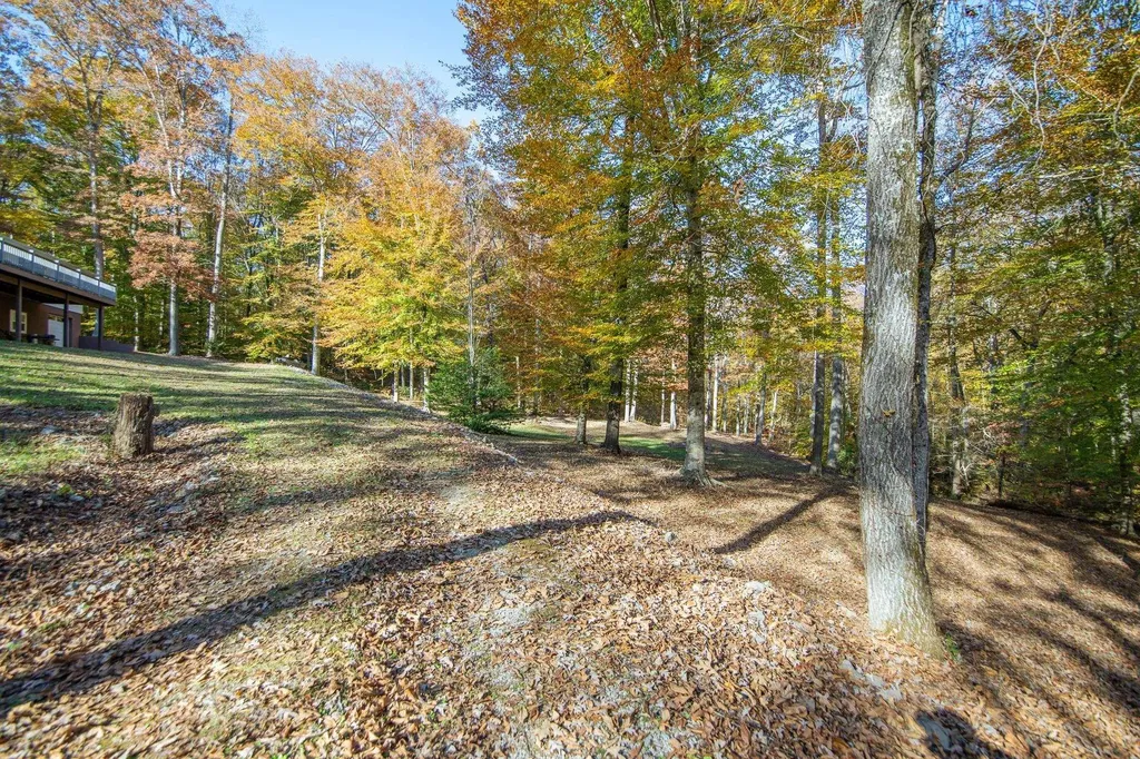 2411 Keazey Hollow Road Waynesboro TN 38485