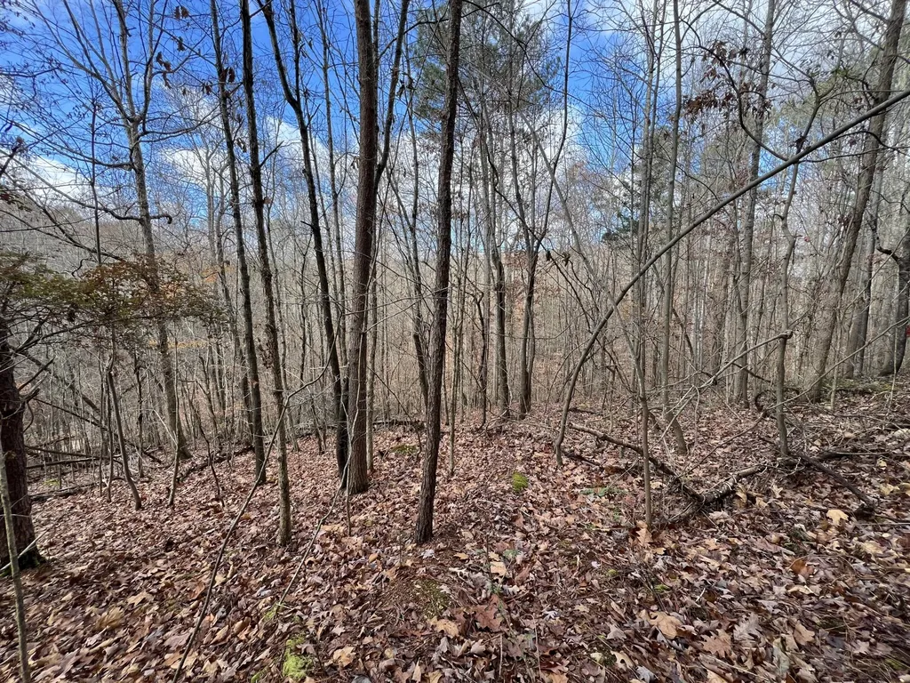 Evensville TN, Smyrna Road
