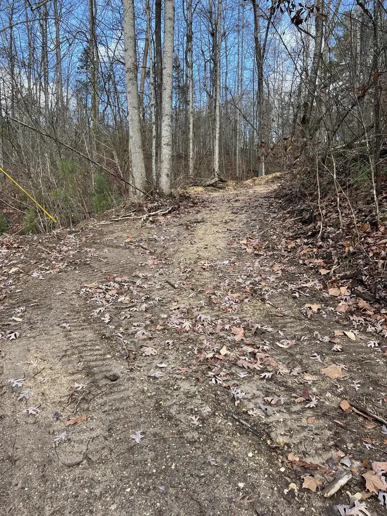 0 Smyrna Road Evensville TN 37332