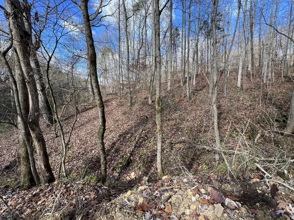 0 Smyrna Road Evensville TN 37332