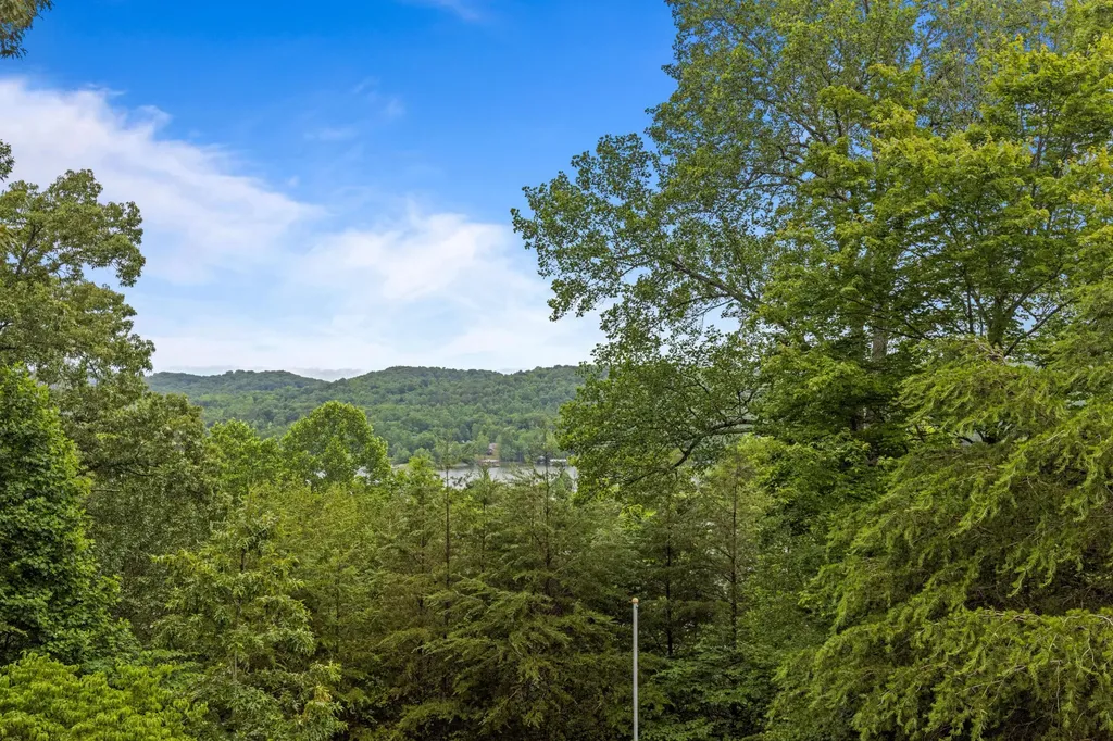 965 Lakewood Village Road Spring City TN 37381