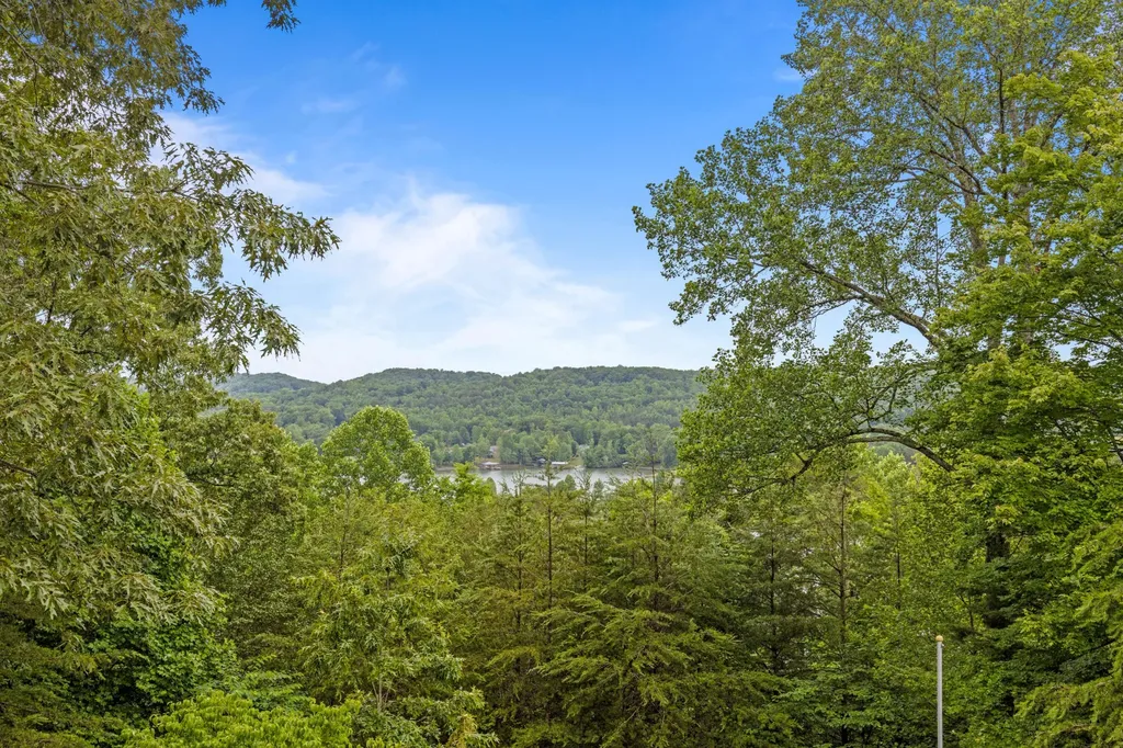 965 Lakewood Village Road Spring City TN 37381