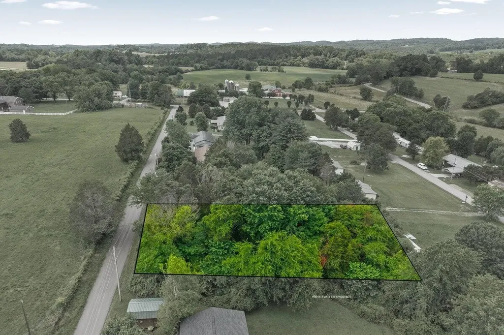 0 Buck Brown Street Englewood TN 37329