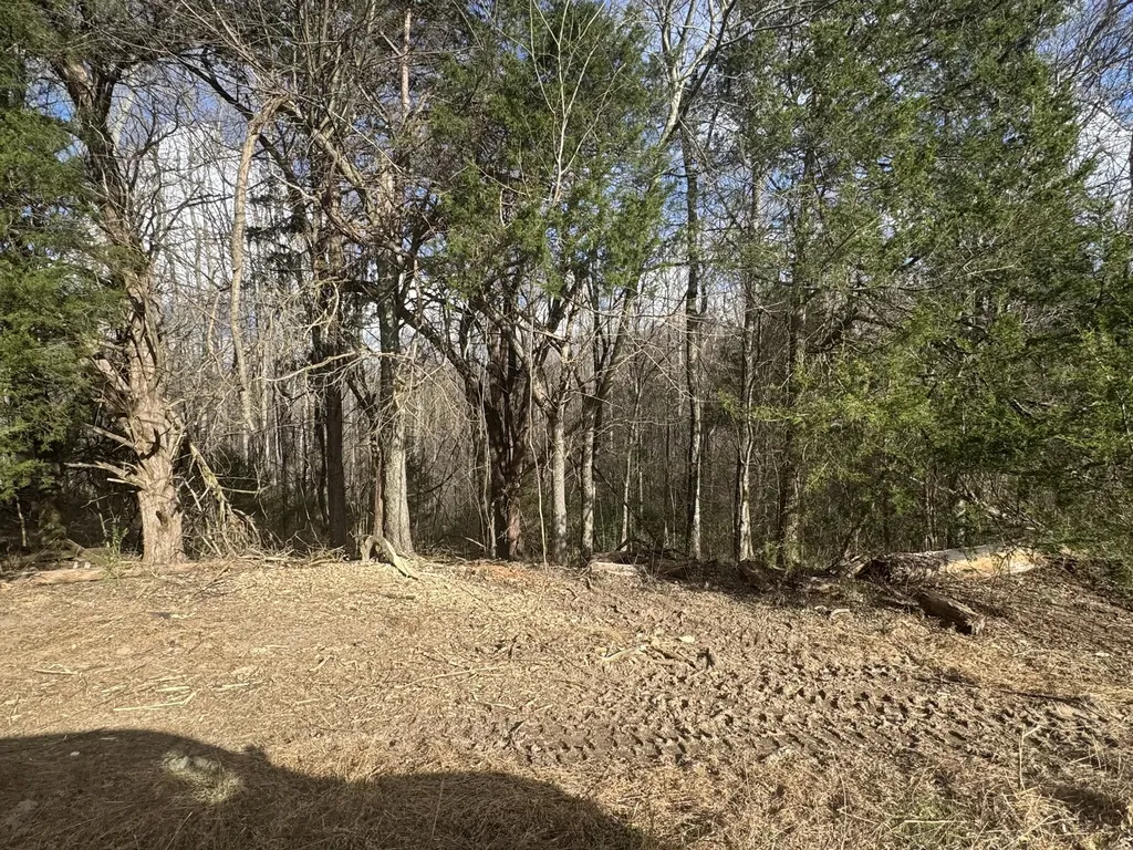 0 White Road Wartrace TN 37183