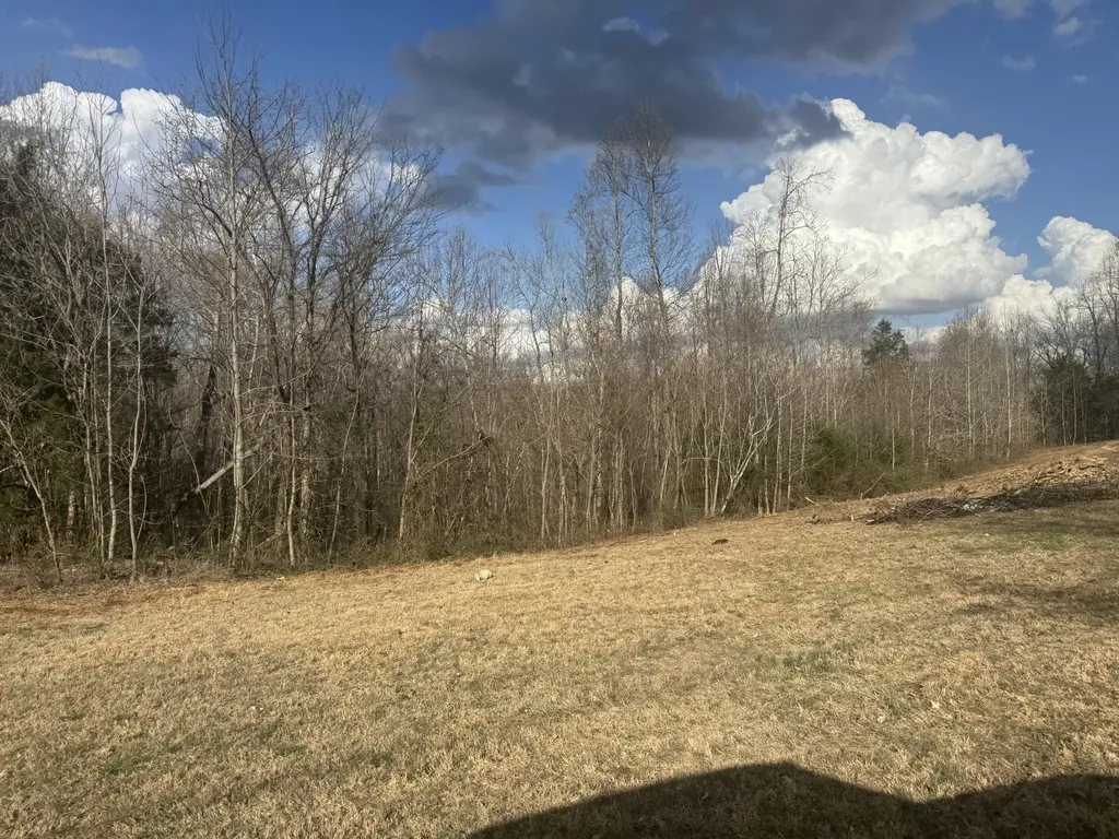 0 White Road Wartrace TN 37183