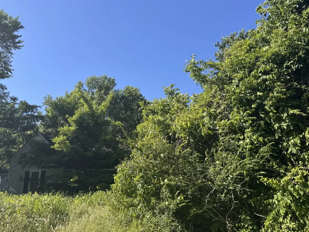 0 White Road Wartrace TN 37183