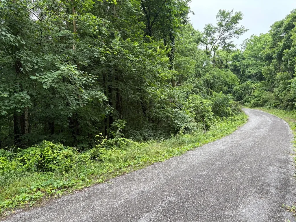 Mount Pleasant TN, Ivy Hollow Road