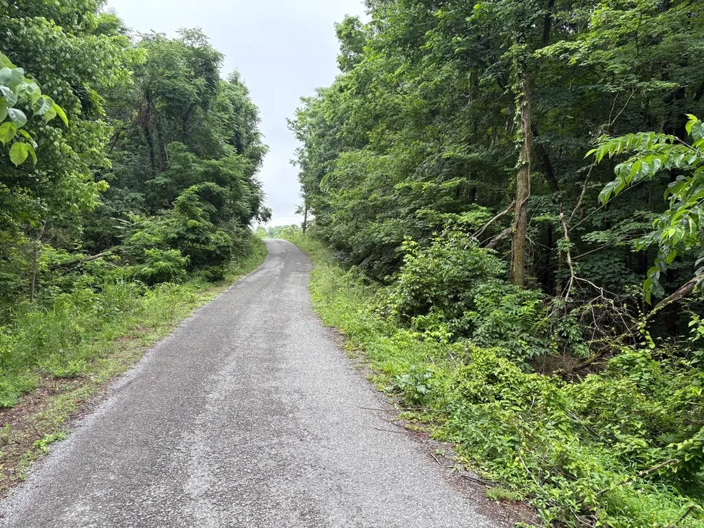0 Ivy Hollow Road Mount Pleasant TN 38474