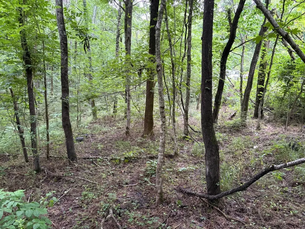 0 Ivy Hollow Road Mount Pleasant TN 38474