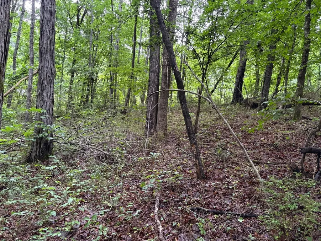 0 Ivy Hollow Road Mount Pleasant TN 38474