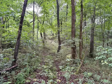 0 Ivy Hollow Road Mount Pleasant TN 38474