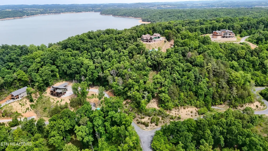 78 Stone Bridge Drive Dandridge TN 37725