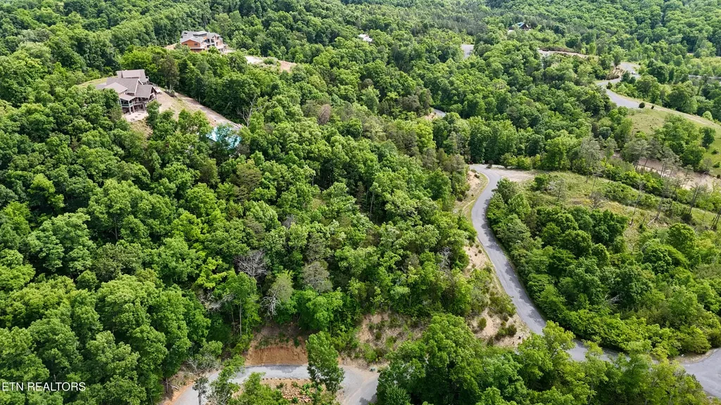 78 Stone Bridge Drive Dandridge TN 37725