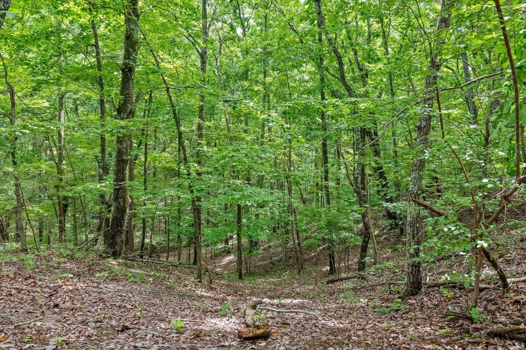 2551 Alpine Bluff Trail Ooltewah TN 37363