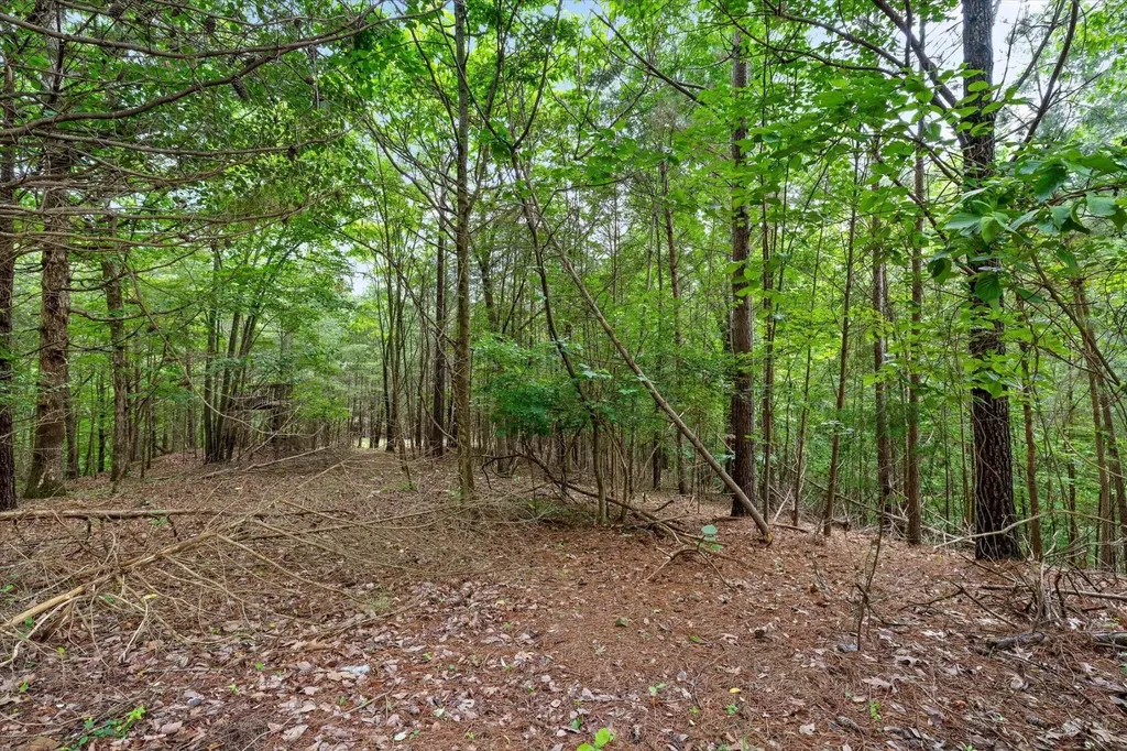 2551 Alpine Bluff Trail Ooltewah TN 37363