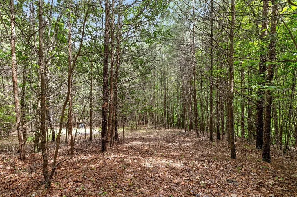 2551 Alpine Bluff Trail Ooltewah TN 37363