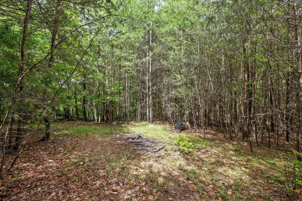 2551 Alpine Bluff Trail Ooltewah TN 37363