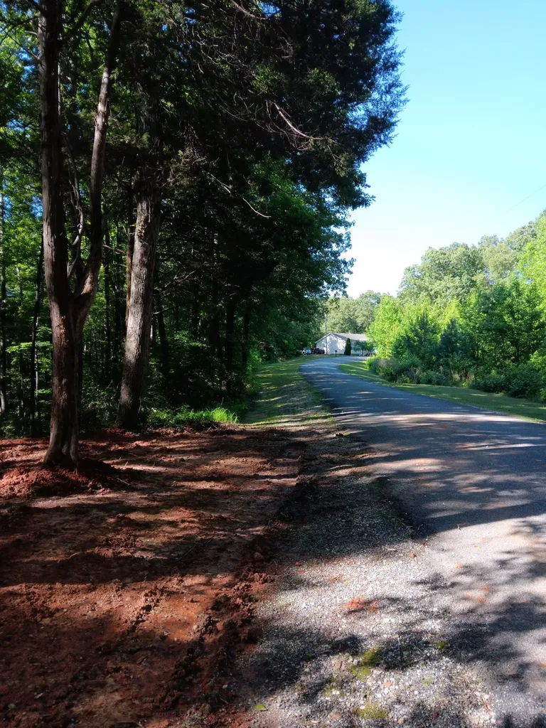 0 Logger Lane Cedar Grove TN 38321