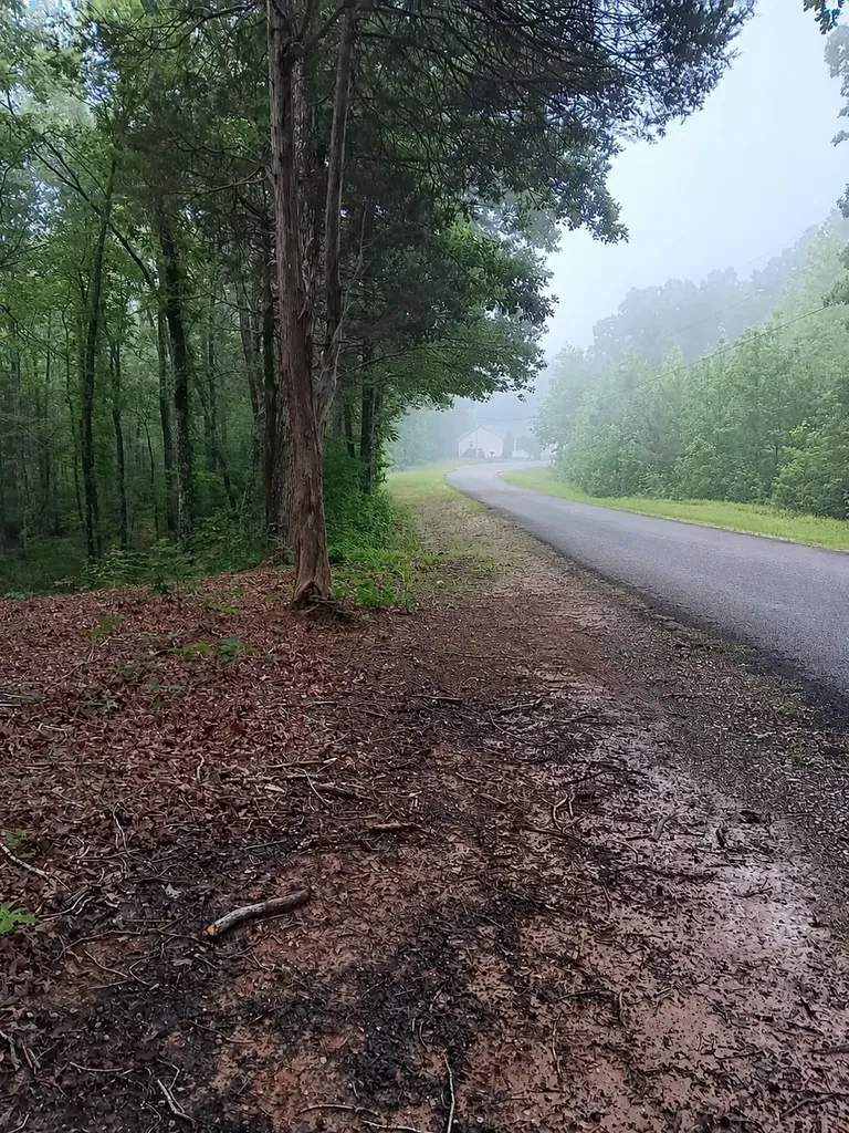 0 Logger Lane Cedar Grove TN 38321